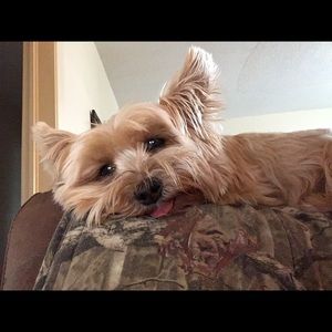 Meet your Posher, Regina